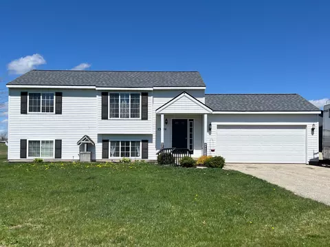 23844 Ashley Ct, Pierson, MI 49339