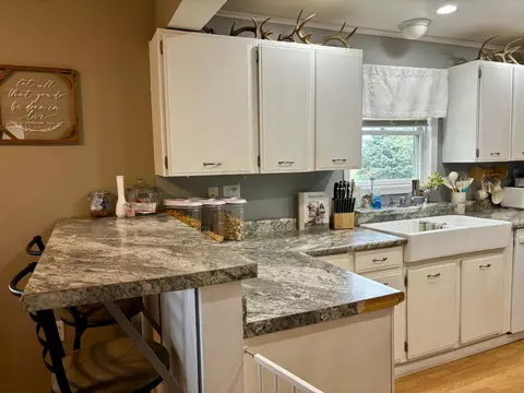 28470 Pleasant Rd, Mendon, MI 49072 photo 17