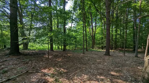 v/l meadowview trail, Custer, MI 49405 photo 2