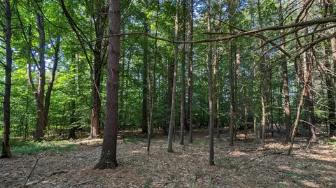 v/l meadowview trail, Custer, MI 49405