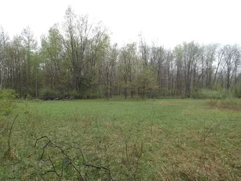 V/l W Stanton Rd, Pierson, MI 49339