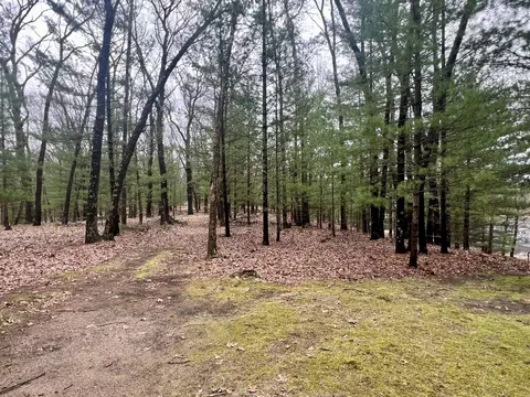 7019 W 76th St, Baldwin, MI 49304 photo 39