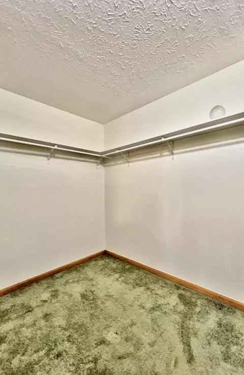 10135 Anthony Dr, Jackson, MI 49201 photo 30