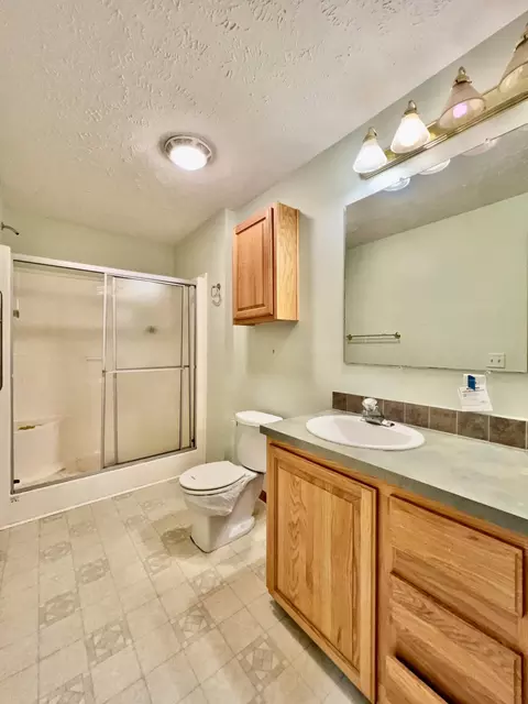 10135 Anthony Dr, Jackson, MI 49201 photo 33
