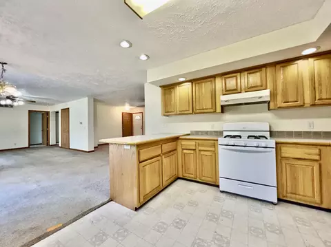 10135 Anthony Dr, Jackson, MI 49201 photo 10