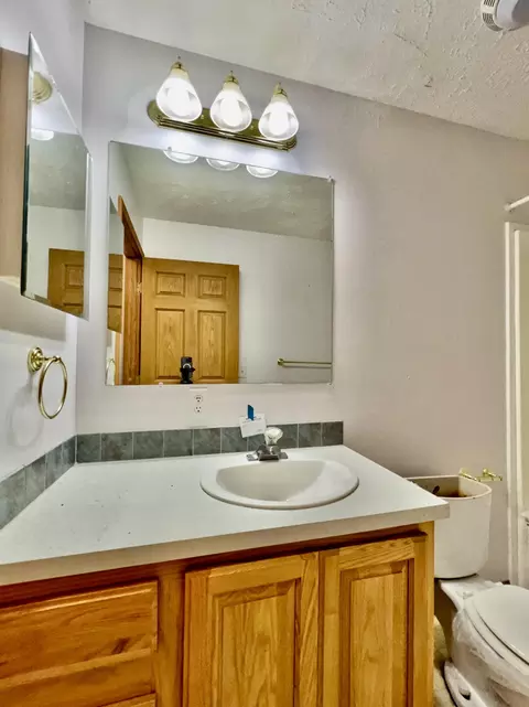 10135 Anthony Dr, Jackson, MI 49201 photo 44