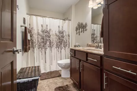 67735 Black Run Way, Constantine, MI 49042 photo 22