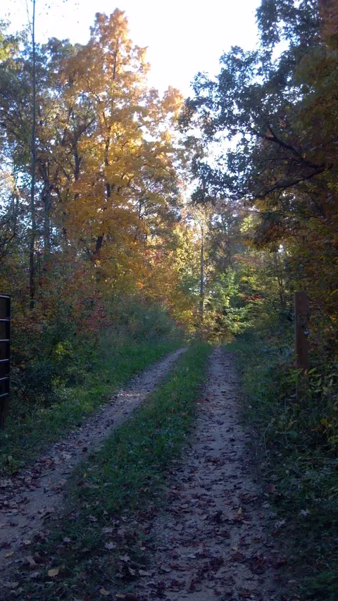 V/l Cook Road, Hastings, MI 49058