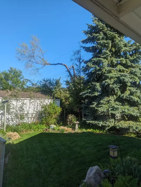 1094 N Stephen Ave, Clawson, MI 48017 photo 37