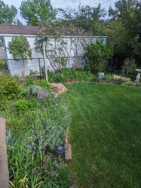 1094 N Stephen Ave, Clawson, MI 48017 photo 34