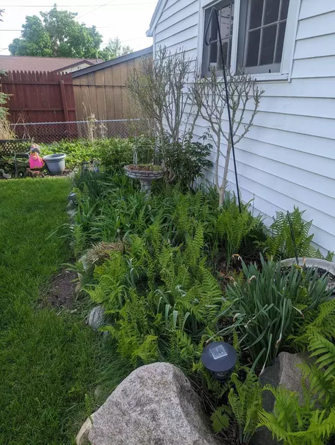 1094 N Stephen Ave, Clawson, MI 48017 photo 33