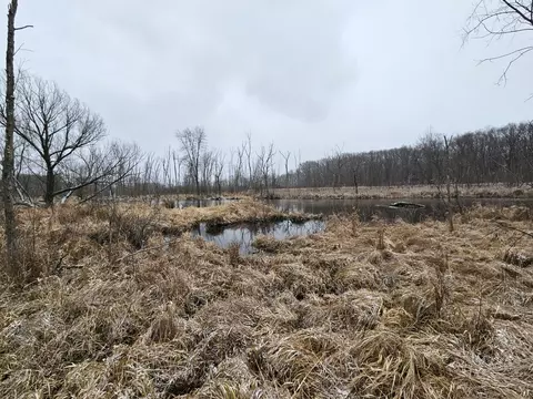 Hoshel Road, Three Rivers, MI 49093
