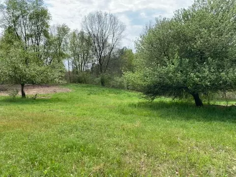 Springport, Parma, MI 49269 photo 5