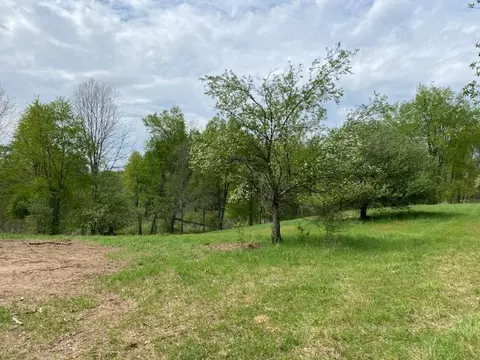 Springport, Parma, MI 49269 photo 4