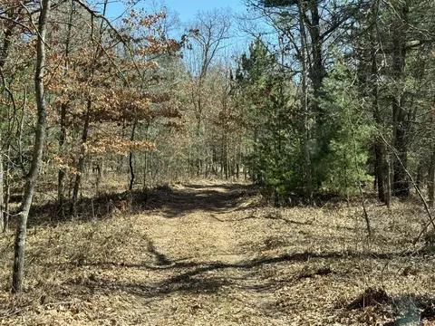 8900 E Koenig Rd, Irons, MI 49644 photo 21