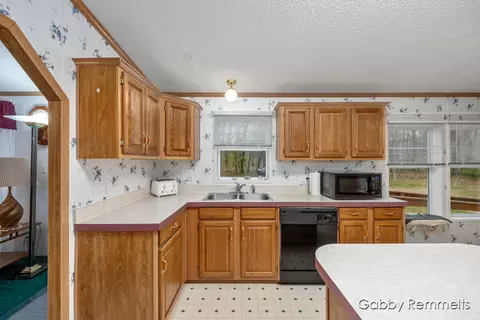 2632 E 100th St, Grant, MI 49327 photo 6