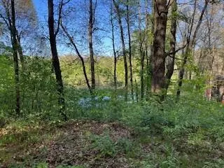 9337 Tasker Rd, Bellevue, MI 49021 photo 31