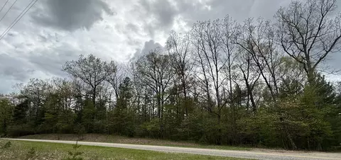 Wayne Road, Pentwater, MI 49449