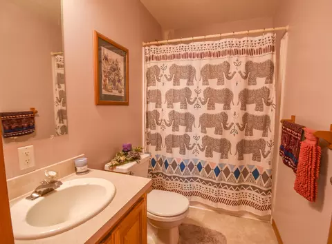 19 Grady Ct, Coldwater, MI 49036 photo 23