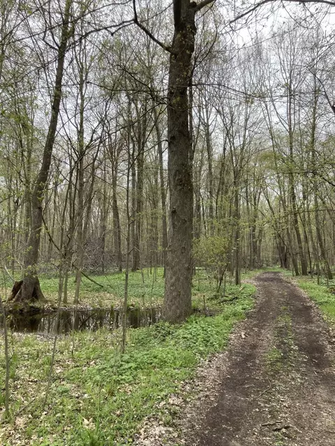 Other - 7430 Frank Rd, Reading, MI 49274 photo 26 of 30