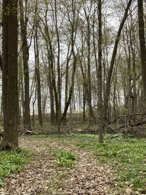 Other - 7430 Frank Rd, Reading, MI 49274 photo 28 of 30