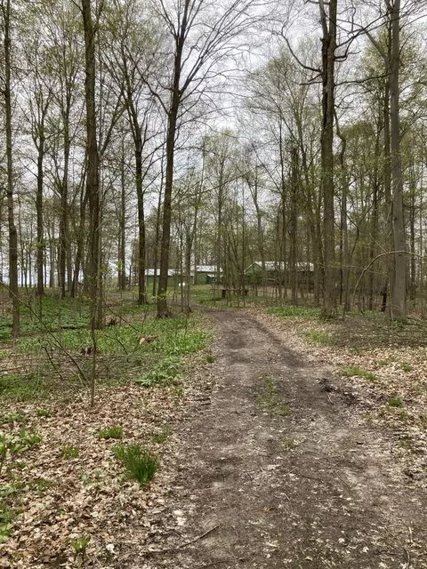 Exterior - 7430 Frank Rd, Reading, MI 49274 photo 35 of 41
