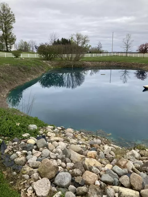 View/Area - 7430 Frank Rd, Reading, MI 49274 photo 5 of 5