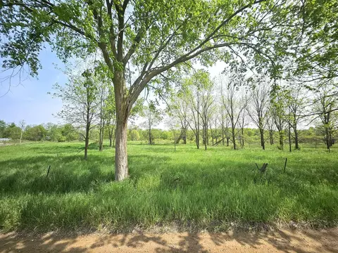 Hall Road, Bellevue, MI 49021