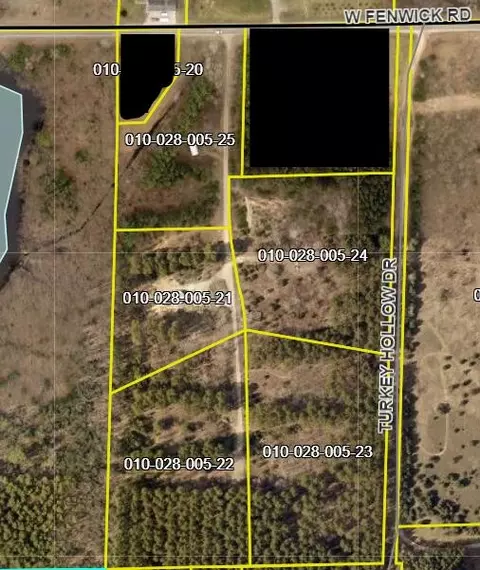 V/l Fenwick Road, Fenwick, MI 48834