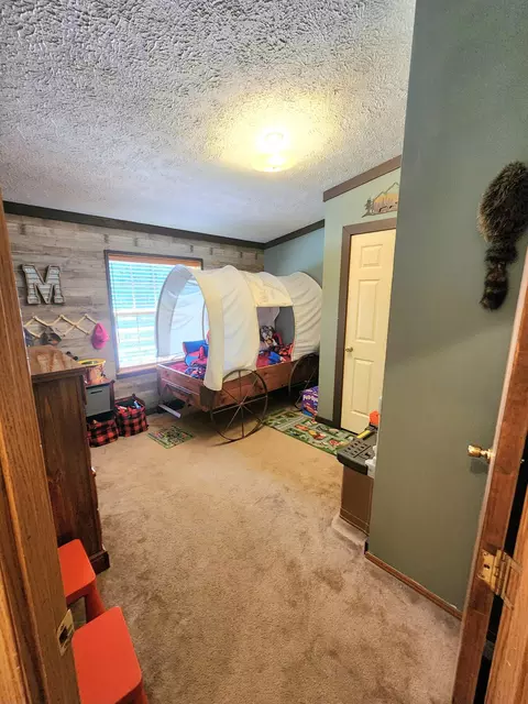 9344 Talladay Rd, Willis, MI 48191 photo 22