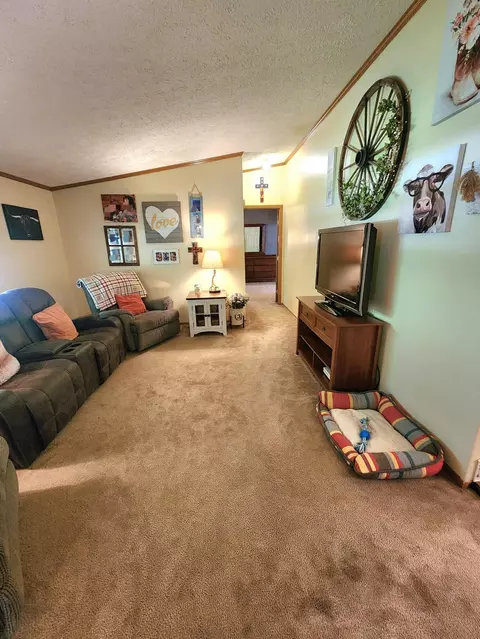 9344 Talladay Rd, Willis, MI 48191 photo 29