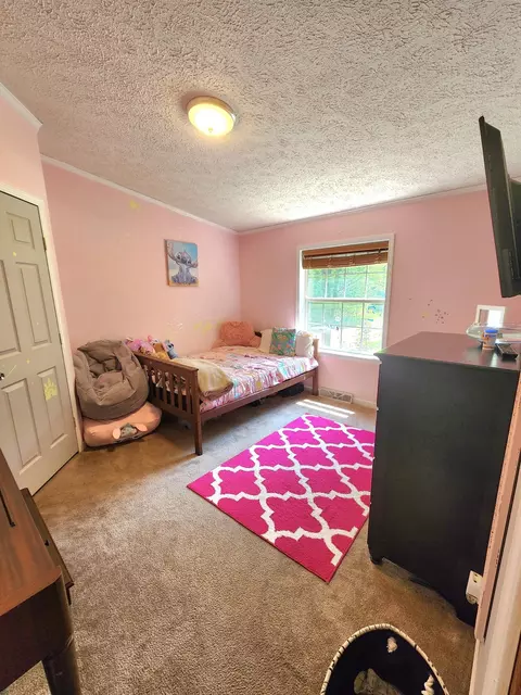 9344 Talladay Rd, Willis, MI 48191 photo 26