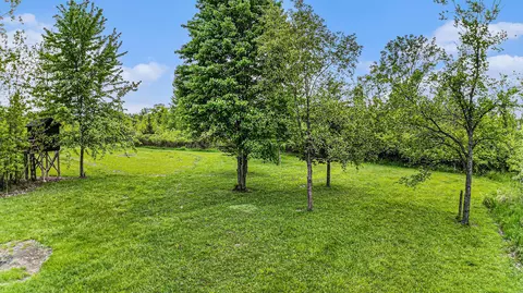 10231 W Chadwick Rd, Eagle, MI 48822 photo 51
