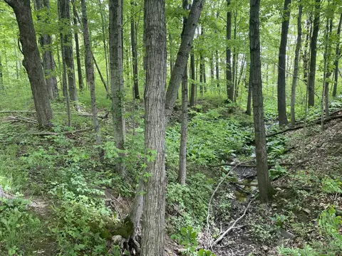 378 E Bell St, Camden, MI 49232 photo 25
