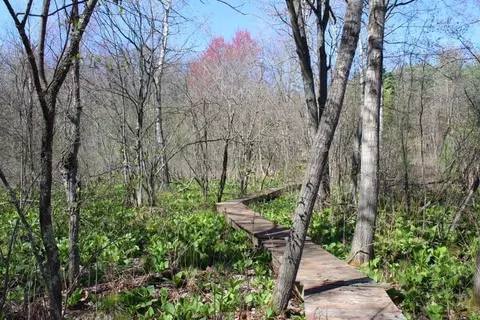 0 Ewing Road D Rd, Twin Lake, MI 49457