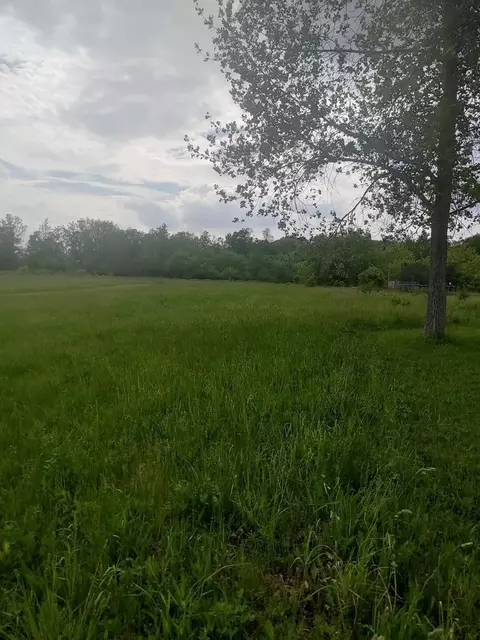 Parcel C+d Caine Road, Vassar, MI 48768