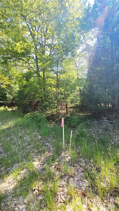 ivanhoe LOT 1, Onekama, MI 49675