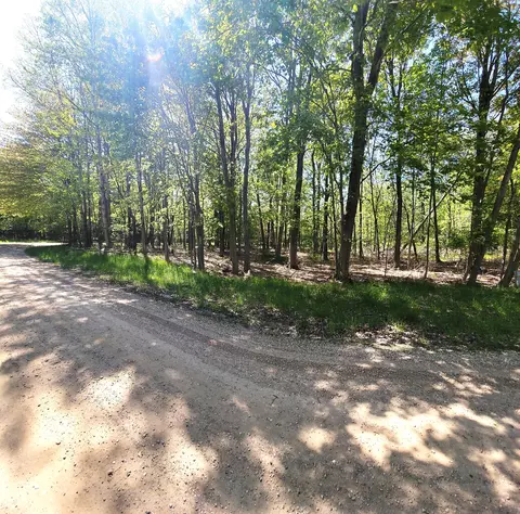 arborvitae LOT 2, Onekama, MI 49675