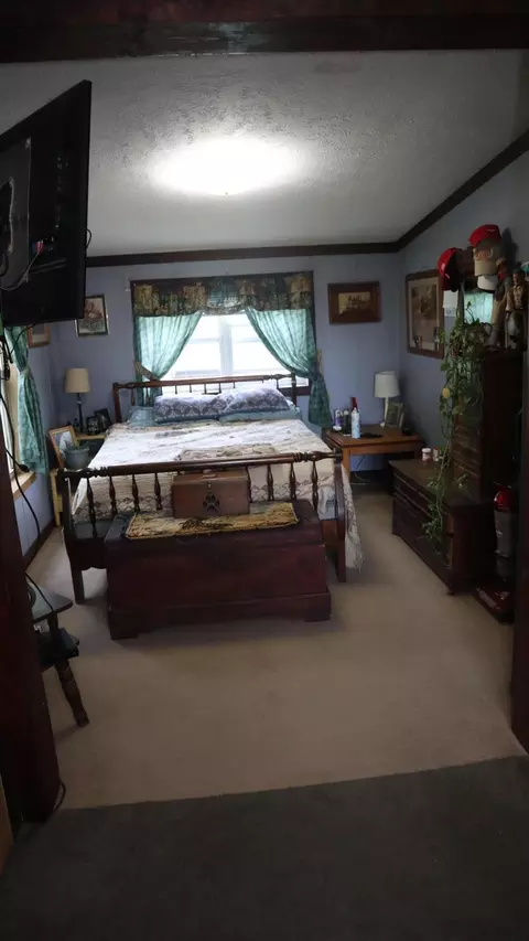 10531 Wolfe St, Marcellus, MI 49067 photo 9