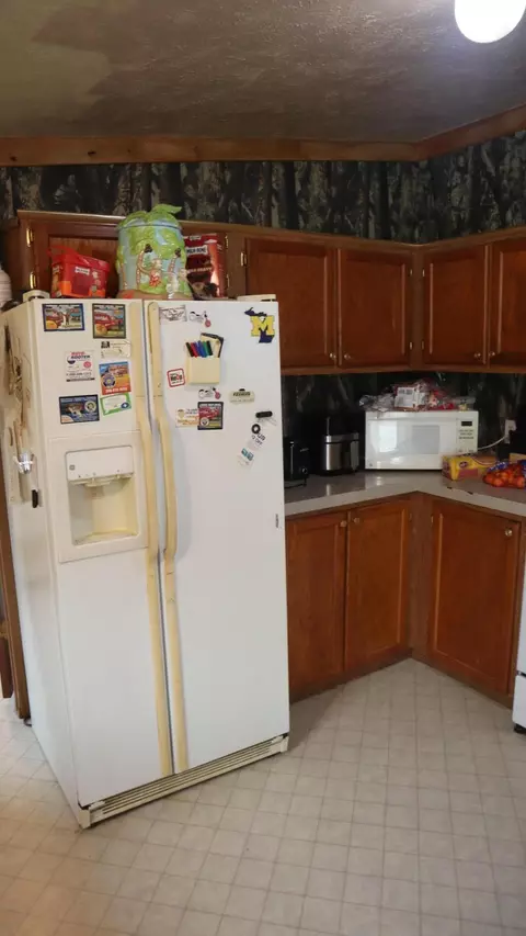 10531 Wolfe St, Marcellus, MI 49067 photo 5