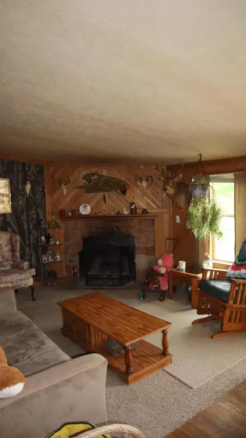 10531 Wolfe St, Marcellus, MI 49067 photo 11