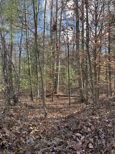 V/l 39th Street, Allegan, MI 49010
