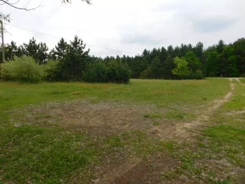 4451 E M-20, Hesperia, MI 49421 photo 43