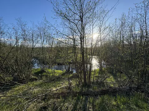 View/Area - 4808 E Black River Rd, Black River, MI 48721 photo 18 of 18