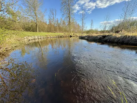 View/Area - 4808 E Black River Rd, Black River, MI 48721 photo 12 of 18