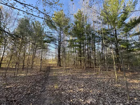 Other - 4808 E Black River Rd, Black River, MI 48721 photo 33 of 61