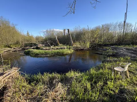 View/Area - 4808 E Black River Rd, Black River, MI 48721 photo 17 of 18