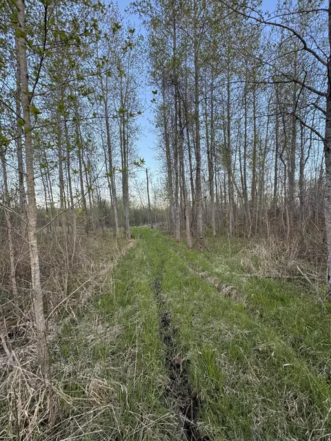Other - 4808 E Black River Rd, Black River, MI 48721 photo 39 of 61