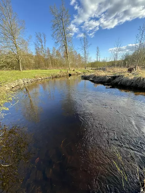 View/Area - 4808 E Black River Rd, Black River, MI 48721 photo 13 of 18