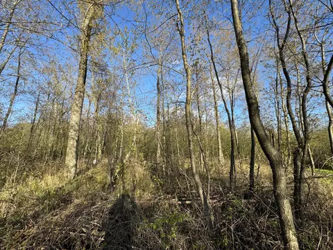 Other - 4808 E Black River Rd, Black River, MI 48721 photo 24 of 61